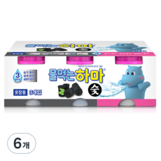 물먹는하마 숯 습기제거제 본품, 280g, 6개