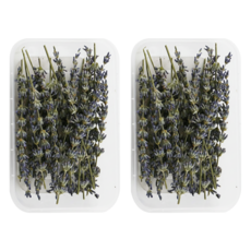 A-ONE 匯旺 乾燥花10件組, 乾薰衣草