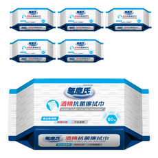 無塵氏 酒精抗菌擦拭巾, 80張, 居家清潔適用, 6包