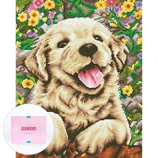 DCLARE 相框畫布型鑽石畫 DIY 套組 40 x 50 cm, 1套, 快樂小狗