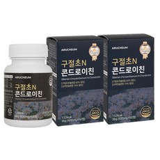 구절초 콘드로이친정 칼슘 보스웰리아 상어연골분말 우슬 초록입홍합 HACCP 관절영양제, 60정, 2개