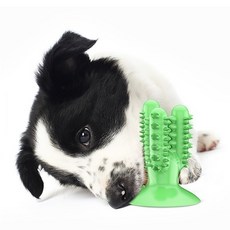 PASTEL PET 寵物犬仙人掌造型咬咬潔牙玩具, 綠色, 1個