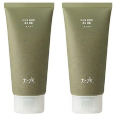 한율 어린쑥 클렌징 흡착 팩 폼, 120ml, 2개 120ml, 2개