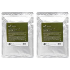 데일리센스 약쑥 모델링 팩 500g, 1개입, 2개