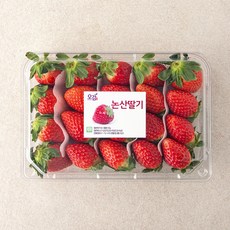 충남오감 논산 GAP 한단 금실딸기(대과), 500g, 1개