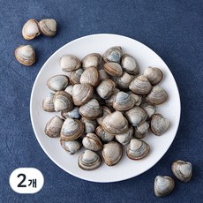 단디프레시 직접 손으로 채취한 서해안 갯벌 동죽조개, 800g, 2봉