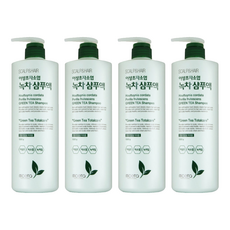 모에타 어성초 자소엽 녹차 샴푸액 건민감성, 1kg, 4개