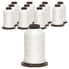 해피베어스 ATHENA 코아사 실, 301 화이트, 12개