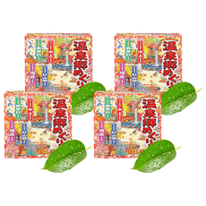 바스로망 온천기행 입욕제 온천, 30g, 72개