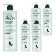 모에타 어성초 자소엽 녹차 샴푸액 건민감성, 1kg, 5개