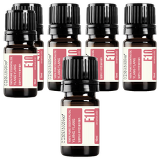 시나몬이오 아로마 에센셜 오일, 일랑일랑, 10ml, 6개