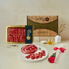 농협안심한우 1등급 채반 선물세트 2호 1kg (등심 500g + 부채살 150g + 업진살 150g + 채끝 200g) (냉장), 1세트
