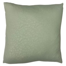 J&N 防蚊壓花抱枕 綠色 2入1組