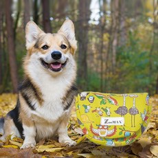 Jumax小狗口袋包, 1個, 黃色的