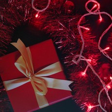 NICE LED 100燈可連接聖誕樹燈 聖誕燈飾組 透明線, 紅色, 1個