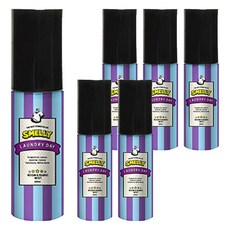 스멜리 룸앤패브릭, 55ml, 6개, 런드리데이