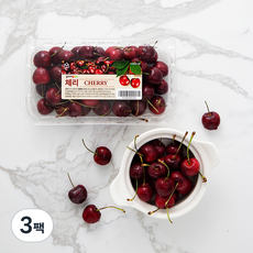 칠레산 체리, 300g, 3팩