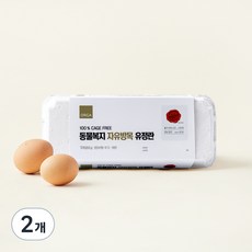 ORGA 동물복지 인증 자유방목 유정란 1번란 520g, 10구, 2개