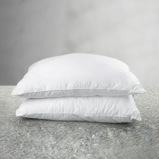 린튼 Huvis Fill ever 마이크로화이바 베개솜 2p, 화이트