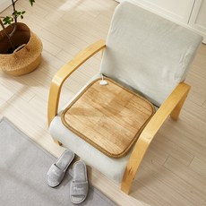 THEANN 溫熱電熱Monoleum單人坐墊, 隨機出貨, 45 x 45 cm