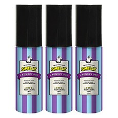 스멜리 룸앤패브릭, 55ml, 3개, 런드리데이
