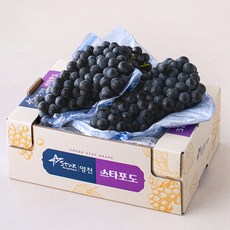 데일리 금호농협 영천 머루포도 MBA, 1개, 2kg