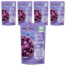 맛있는풍경 유기농 요거트 블루베리볼, 블루베리맛, 20g, 5개