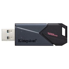 Kingston 金士頓 USB 3.2 隨身碟 DTXON 128GB，簡約霧黑外殼，鑰匙圈扣環設計, 1個