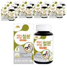 비타민뱅크 패밀리 츄어블 철분 크렌베리맛, 10개