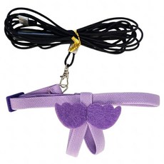 鸚鵡彈性翅膀胸背帶 + 牽引繩, 1組, 紫色