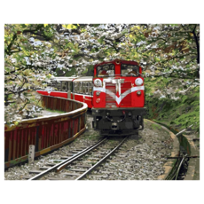 ArtLife 藝術生活 數字油畫DIY TW005 50 x 40cm, 台灣風情誌-阿里山小火車, 1個