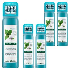 클로란 아쿠아민트 쿨세범 드라이샴푸, 150ml, 5개