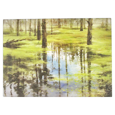 TAIWANG 台旺文創 拼圖 530 x 380mm 8歲以上適用, 520片, 忘憂 綠色, 1盒