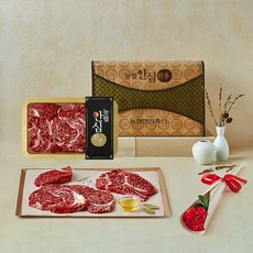 농협안심한우 1++등급(7) 등심 채반 선물세트 2호 (냉장), 1kg, 1박스