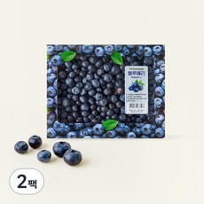 PSK 칠레산 블루베리, 600g, 2팩