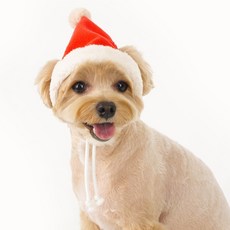 플로트 반려동물 크리스마스 산타모자, 레드, 1개