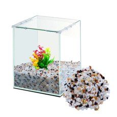 grovita Oldiaman 30 高立方玻璃魚缸 + 開花五色魚 5D 4kg 套裝, 混色