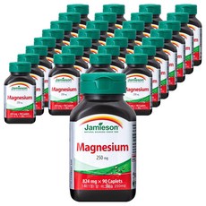 자미에슨 마그네슘 250mg, 30개, 90정