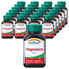 자미에슨 마그네슘 250mg, 25개, 90정