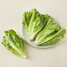 친환경 포기생채, 250g, 1개