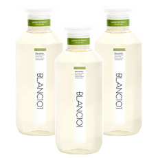 블랑101 유아 세탁 세제 세이지가든, 1L, 3개