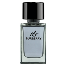 BURBERRY 巴寶莉 台灣公司貨 Mr. Burberry 男性淡香水, 100ml, 1個
