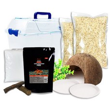 Rora Pet 寄居蟹飼養套組 白楊木墊料, 混合色