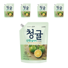 참그린 청귤 산뜻 설거지 주방세제 리필, 970ml, 5개