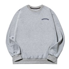 어탭트 남성용 빅사이즈 PASS 맨투맨 스몰로고 티셔츠