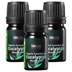 bbcos 必可市 有機金鑽尤加利精油, 5ml, 3瓶