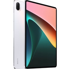 샤오미 미패드 5 태블릿PC 256GB, Pearl White, Wi-Fi