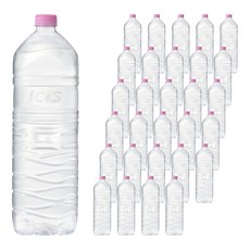 아이시스 생수 무라벨, 2L, 30개