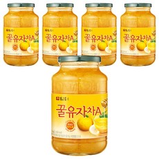 담터 꿀유자차A, 1kg, 5개, 1개입