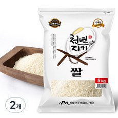 천년지기 비슬산 2025년산 햅쌀 백미, 상등급, 5kg, 2개
